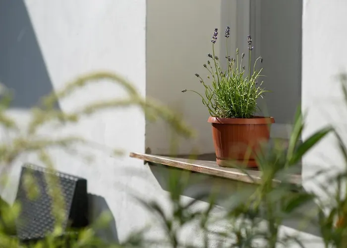 Kiralyleanyka Apartament