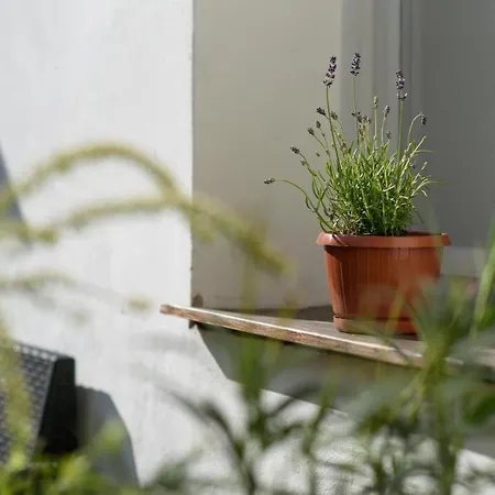 Királyleányka Apartman